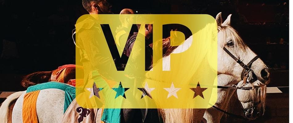 Dinner-Show 'Medieval Challenge' (VIP Pass) Magic Rock Gardens Hotel Benidorm Dinner-Show 'Medieval Challenge' (VIP Pass) Magic Rock Gardens Hotel Benidorm